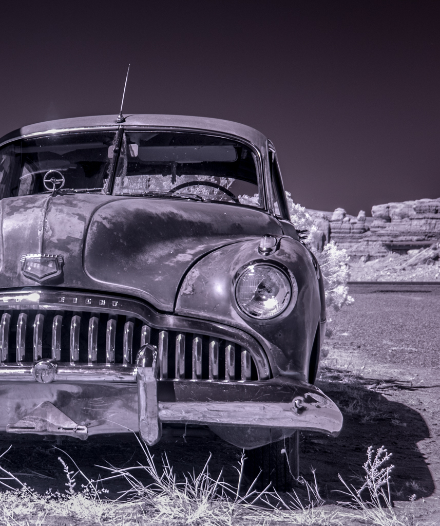 Desert Relic in Infrared