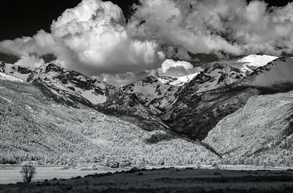 Infrared Light in Moraine Park – Rocky Mountain National Park